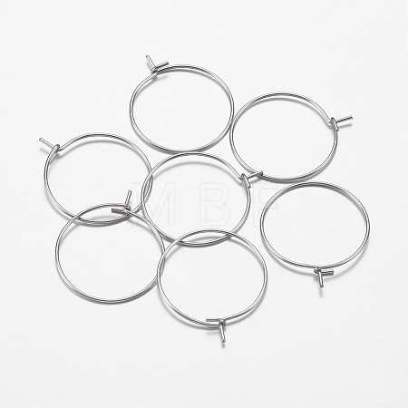 316 Surgical Stainless Steel Hoop Earrings Findings STAS-I097-050E-1