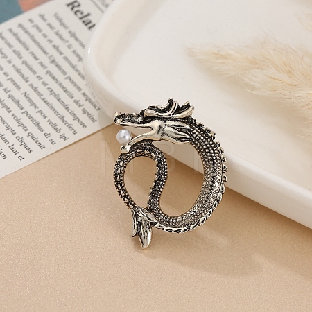 Dragon Men's Alloy Brooch for Backpack Clothes PW-WG39140-12-1