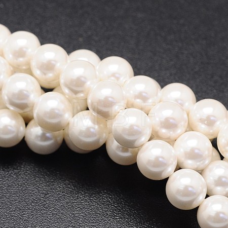 Shell Pearl Beads Strands X-BSHE-E008-6mm-12-1