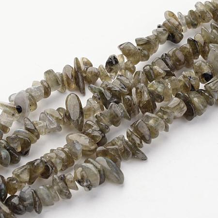 Natural Labradorite Chips Beads Strands X-F069-1