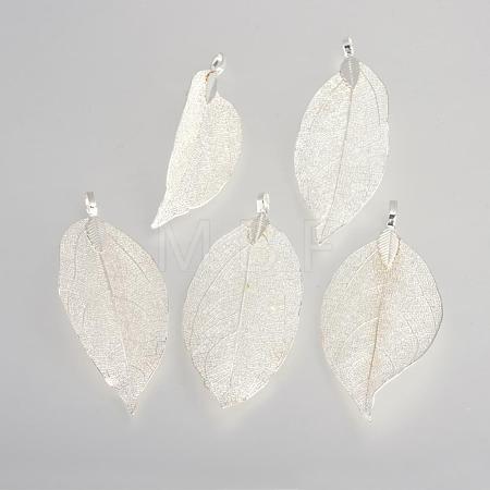 Electroplated Natural Leaf Big Pendants IFIN-Q119-03A-1