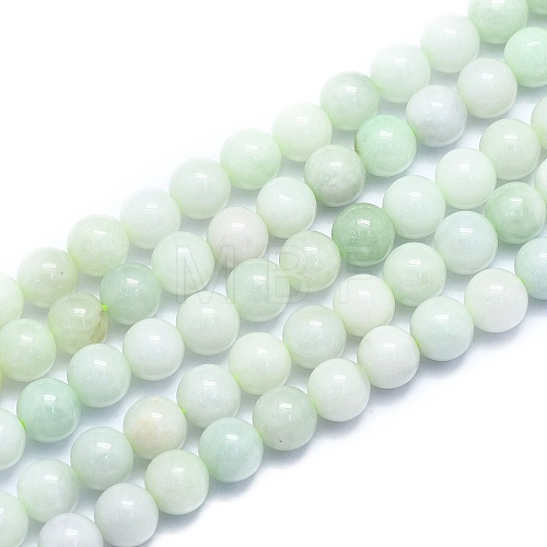 Natural Myanmar Jade/Burmese Jade Beads Strands G-K310-C05-8mm-1