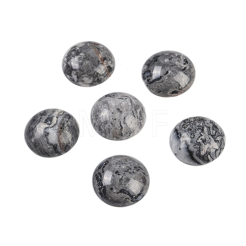 Natural Map Stone Cabochons G-T020-18mm-30-1