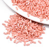 2-Hole Glass Seed Beads SEED-S031-S-SQ1202R-1