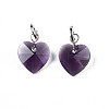 Faceted Transparent Glass Charms GLAA-T024-04A-2