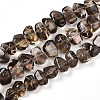 Natural Smoky Quartz Beads Strands G-B072-C01-02-01-1