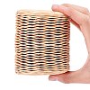 Handmade Iron Wire Paper Rattan OCOR-WH0058-03A-3