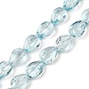 Transparent Glass Beads Strands GLAA-H038-03C-1