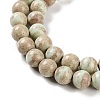 Natural Rainbow Alashan Agate Beads Strands G-NH0022-A08-02-4