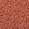 MIYUKI Round Rocailles Beads X-SEED-G007-RR0553-3