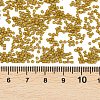 MIYUKI Delica Beads SEED-X0054-DB0665-3
