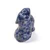 Natural Blue Spot Jasper Display Decorations DJEW-P019-A03-3