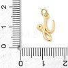 Brass Micro Pave Clear Cubic Zirconia Charms KK-D289-66G-Y-3
