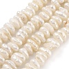 Natural Keshi Pearl Cultured Freshwater Pearl Beads Strands PEAR-C003-31B-1