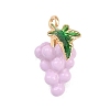 Fruit Alloy Enamel Pendants ENAM-P264-02G-G04-2