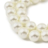 Round Shell Pearl Beads Strands BSHE-XCP0001-25A-02-3