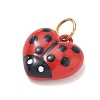Valentine's Day 304 Stainless Steel Enamel Pendants SA-CBA08A6-07A-G-2
