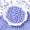 Opaque Baking Paint Glass Seed Beads SEED-T008-02R-2