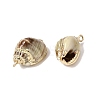 Brass & Natural Shell Pendants SH-CBA27C9-07-2