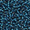 TOHO 8/0 Round Beads X-SEED-TR08-0023BD-2