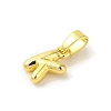 Rack Plating Brass Charms KK-C053-04G-K-2