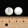 Natural White Shell Cabochons X-SSHEL-M022-01D-3