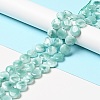 Natural Glass Beads Strands G-I247-28C-2