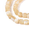Natural Trochid Shell/Trochus Shell Beads Strands SSHEL-N041-04A-02-3