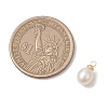 Natural Freshwater Pearl Rice Charms PALLOY-JF04858-01-2