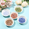 438Pcs Imitation Cat Eye Glass Seed Beads SEED-FS0001-47E-5