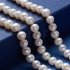 Natural Cultured Freshwater Pearl Beads Strands PEAR-I004-10-5