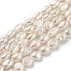 Natural Cultured Freshwater Pearl Beads Strands PEAR-L033-31D-1