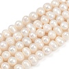 Natural Cultured Freshwater Pearl Beads Strands PEAR-I007-07X-08D-2