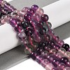 Natural Fluorite Beads Strands G-P530-B09-03-2
