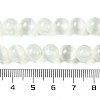 Natural Selenite Beads Strands G-C142-01A-06-5