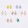 Electroplated Glass Charms GLAA-P038-05G-1