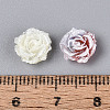 Opaque Resin Beads RESI-N052-03A-4
