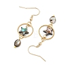 Natural Paua Shell & Stainless Steel Dangle Earrings for Women EJEW-JE07076-01-4