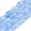 Transparent Crackle Glass Beads Strands GLAA-S192-B-010C-1