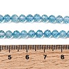 Natural & Dyed Blue Topaz Beads Strands G-B088-C05-04-4
