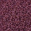 MIYUKI Round Rocailles Beads SEED-G007-RR0303-4