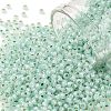 TOHO 11/0 Round Beads X-SEED-TR11-PF2118-1