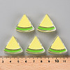 Transparent Enamel Acrylic Beads TACR-S155-001B-4