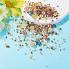 1Bag Mixed Styles Glass Beads GLAA-TADJ0001-10F-4