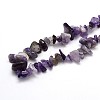 Natural Amethyst Beads Strands G-O049-C-48-3