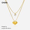 304 Stainless Steel & Clear Cubic Zirconia Double Layer Necklaces FS-WG7985A-10-1
