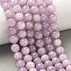 Natural Kunzite Beads Strands G-D856-03-8mm-7