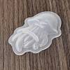 DIY Silicone Molds SL-CBAA8E0-01C-4