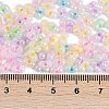 Glass Seed Beads SEED-K010-03M-4