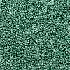 TOHO Round Seed Beads SEED-TR11-0561F-2